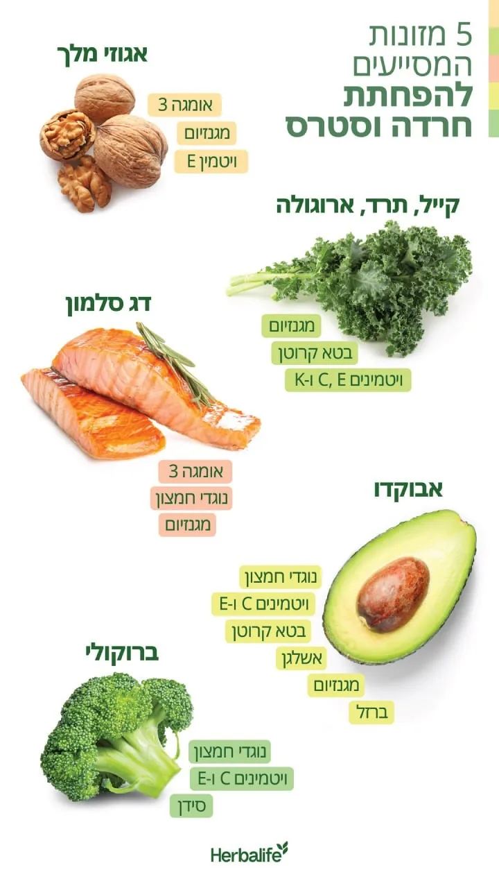 5 מזונות המסייעים להפחתת חרדה וסטרס